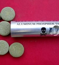 منع بيع سم الفئران في منطقة أفغانية.. لماذا؟