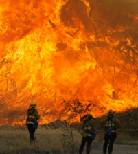 33 قتيل والحصيلة ترتفع حرائق ولاية كاليفورنيا