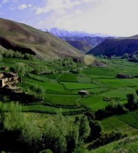 صباح الخير وكالة أنباء خاورميانه أفغانستان
