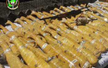 الأمن يعتقل مسؤول نقل مهمات طالبان أفغانستان